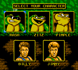 Battletoads & Double Dragon screenshot 5 for NES